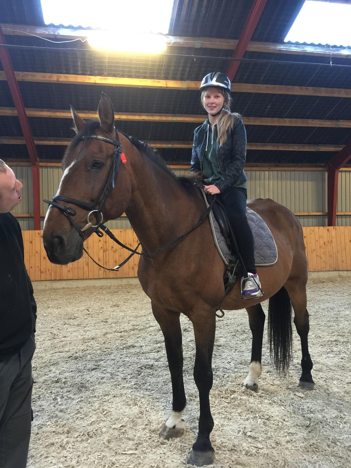 Dansk Varmblod Lancier billede 4