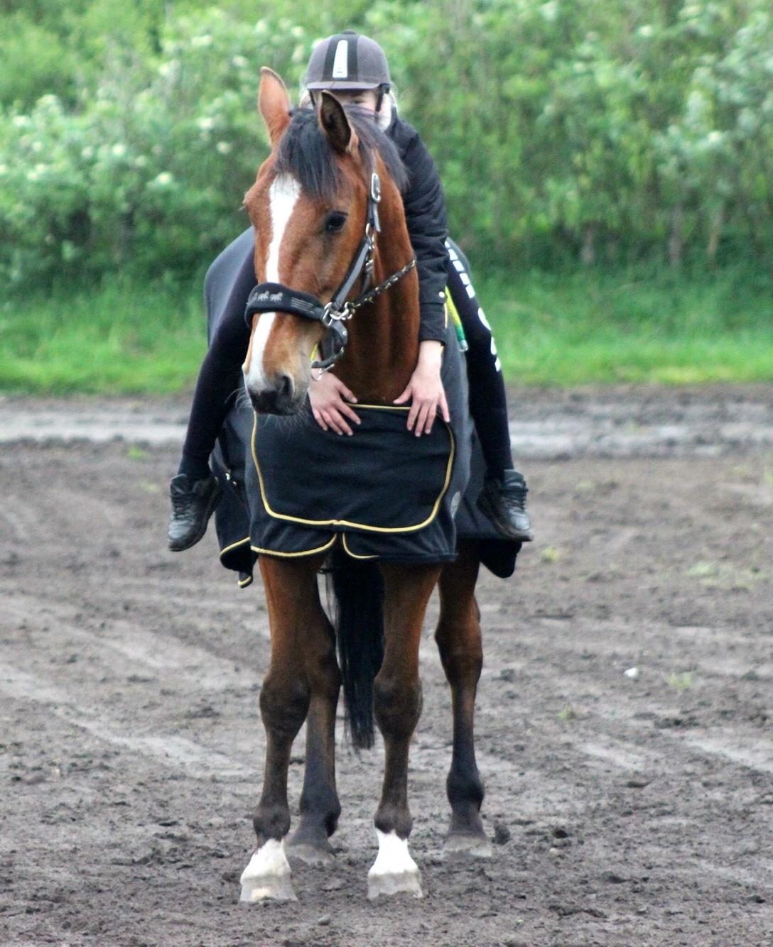 Traver Nikolaj Hovmand billede 3
