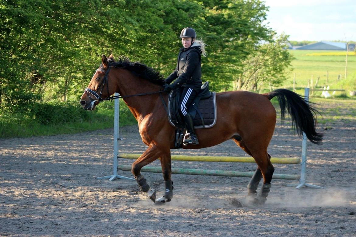 Traver Nikolaj Hovmand billede 12