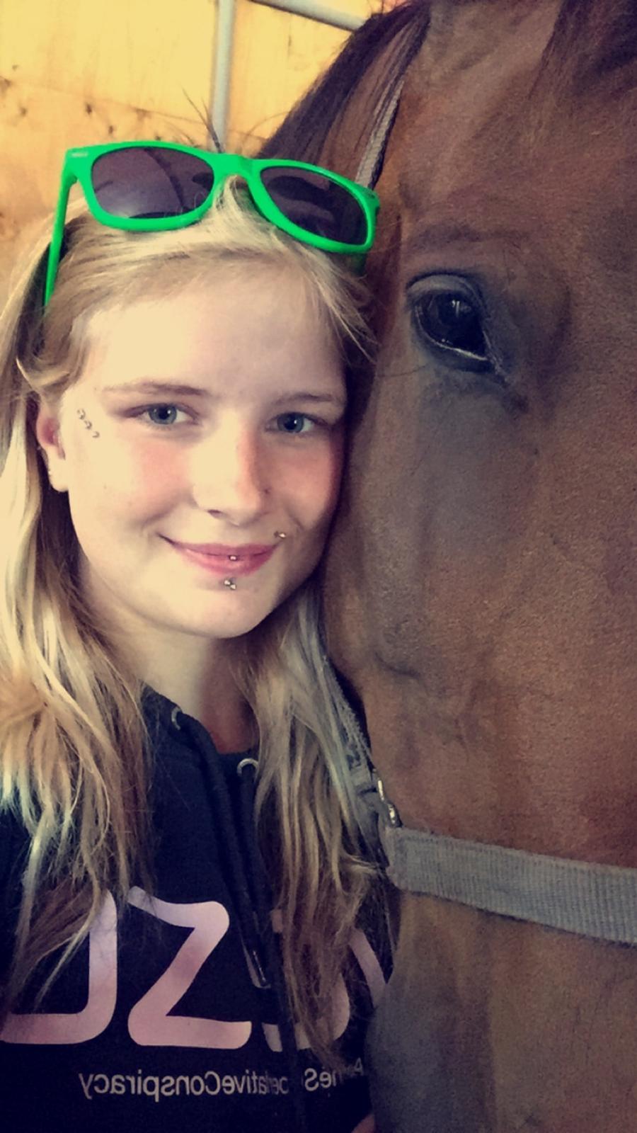 Dansk Varmblod Lancier billede 19