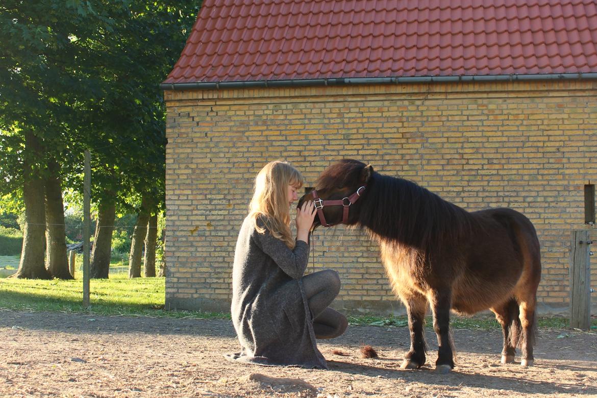 Anden særlig race Tulle (Trold) - 3-års dag <3 billede 2