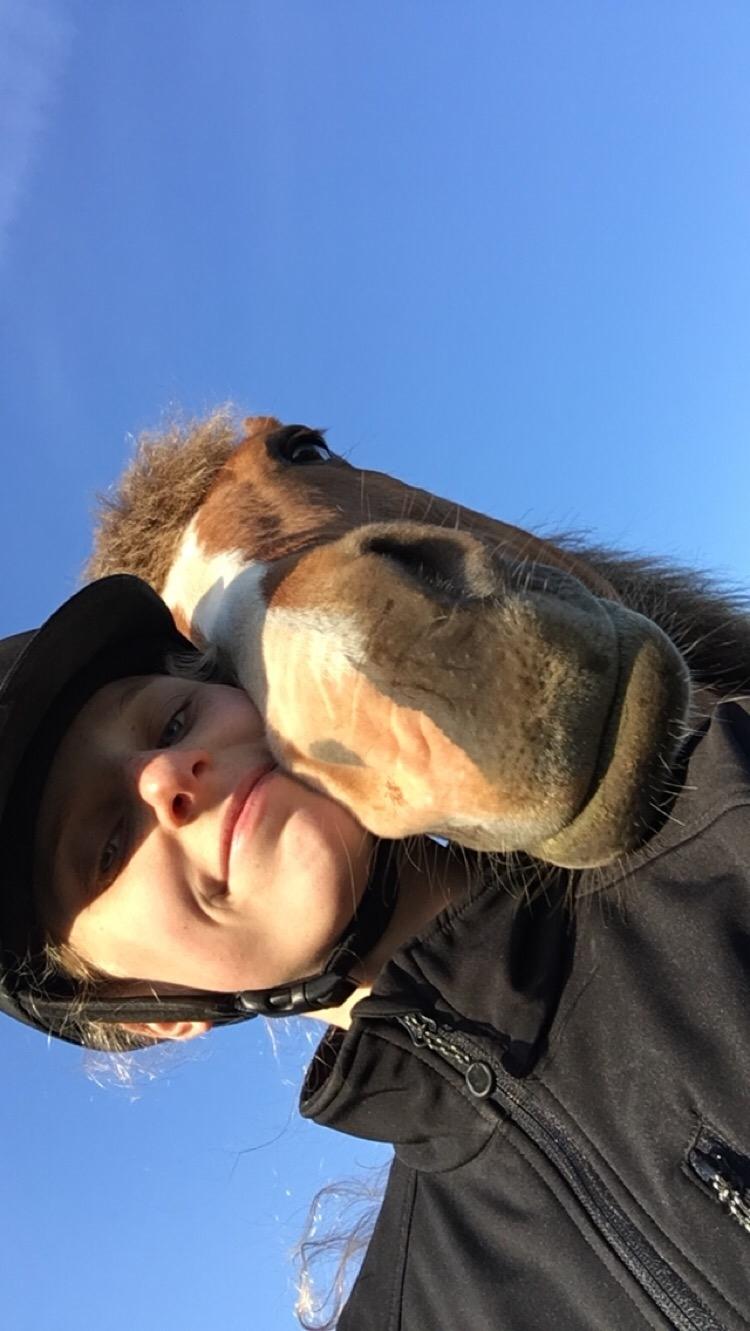 New Forest ADORER ARCHIBAL billede 20