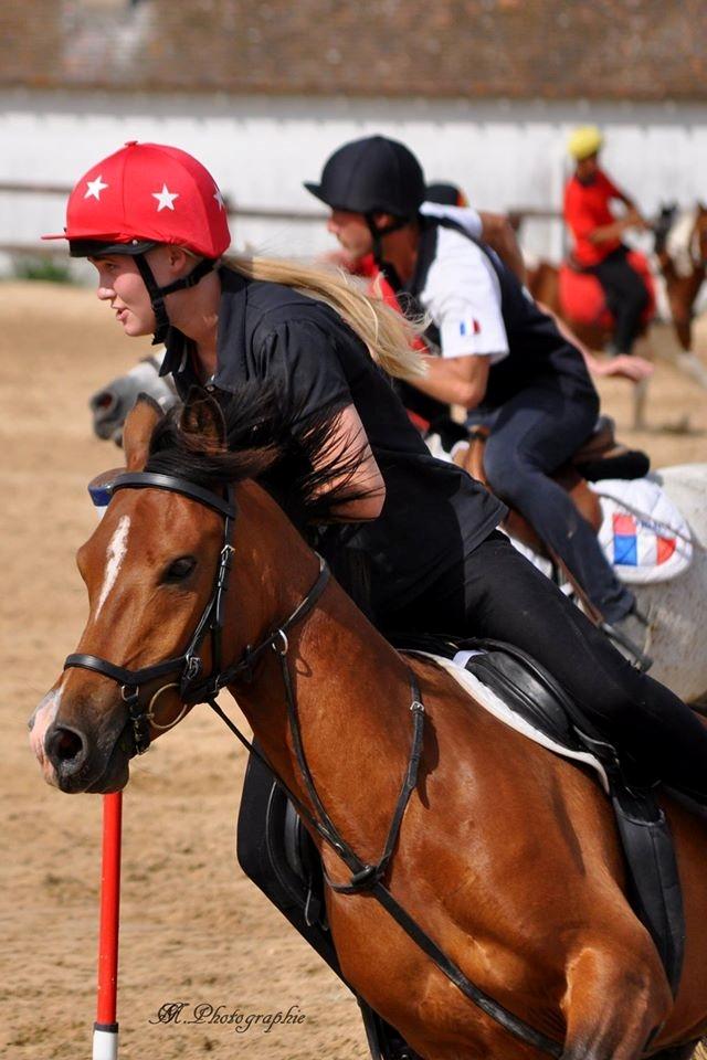 Anden særlig race Shah Little Miss May billede 1