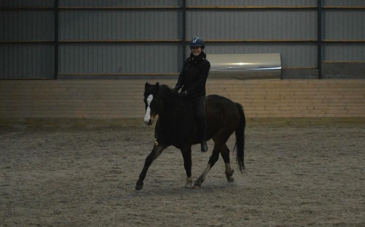 DSP Gondeur billede 8