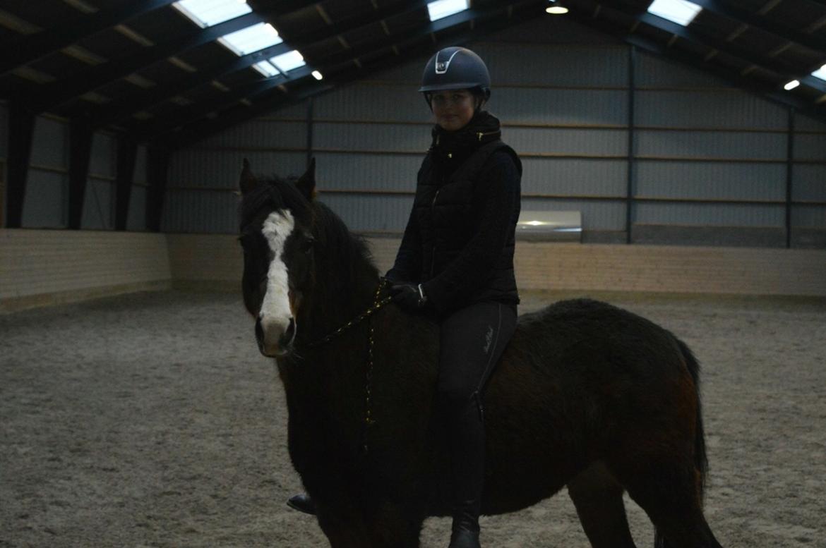 DSP Gondeur billede 7