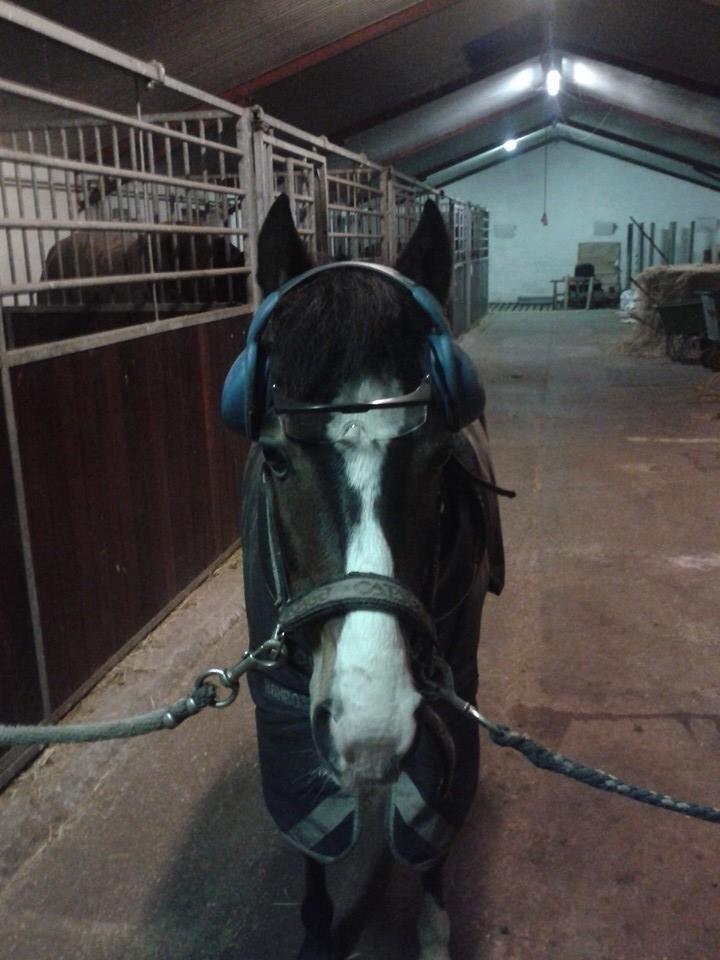 DSP Gondeur billede 10