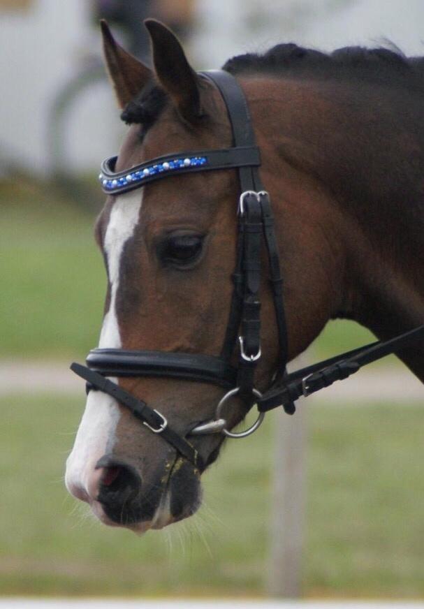 DSP Gondeur billede 11