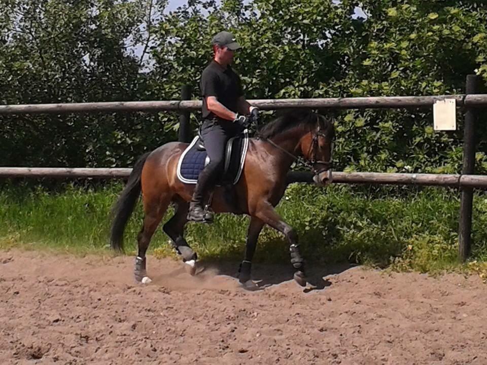 DSP Gondeur billede 15