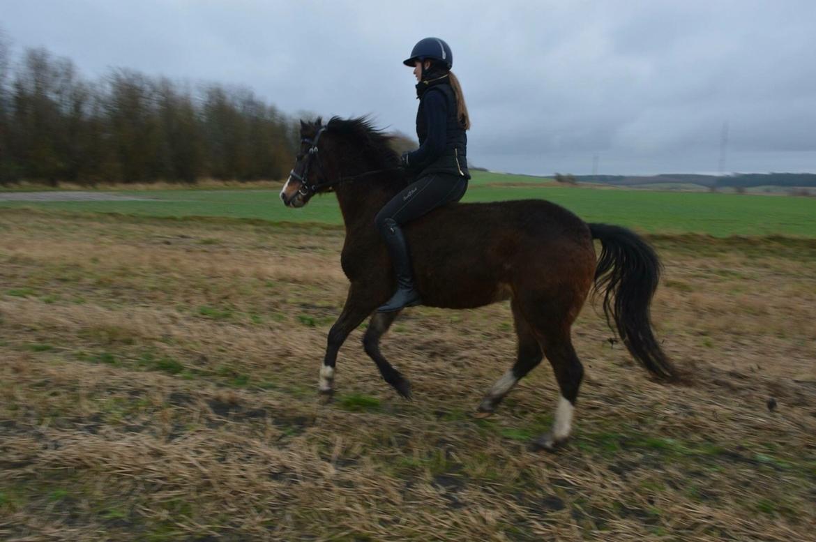 DSP Gondeur billede 14