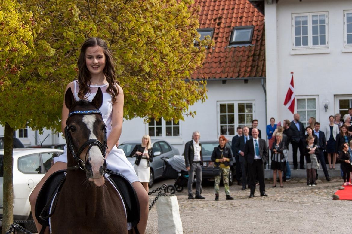 DSP Gondeur billede 16