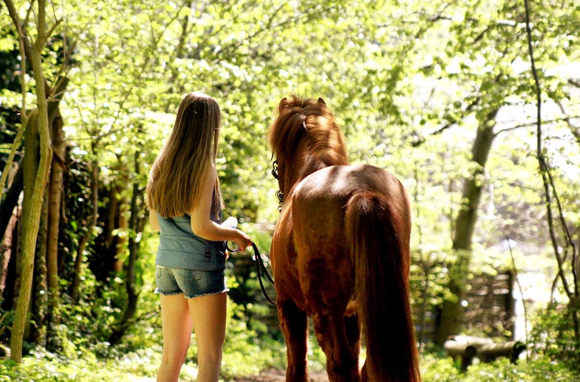 Islænder Kiljan fra Vindbyholt - "Let's prove to everyone that happy endings do exist" billede 3