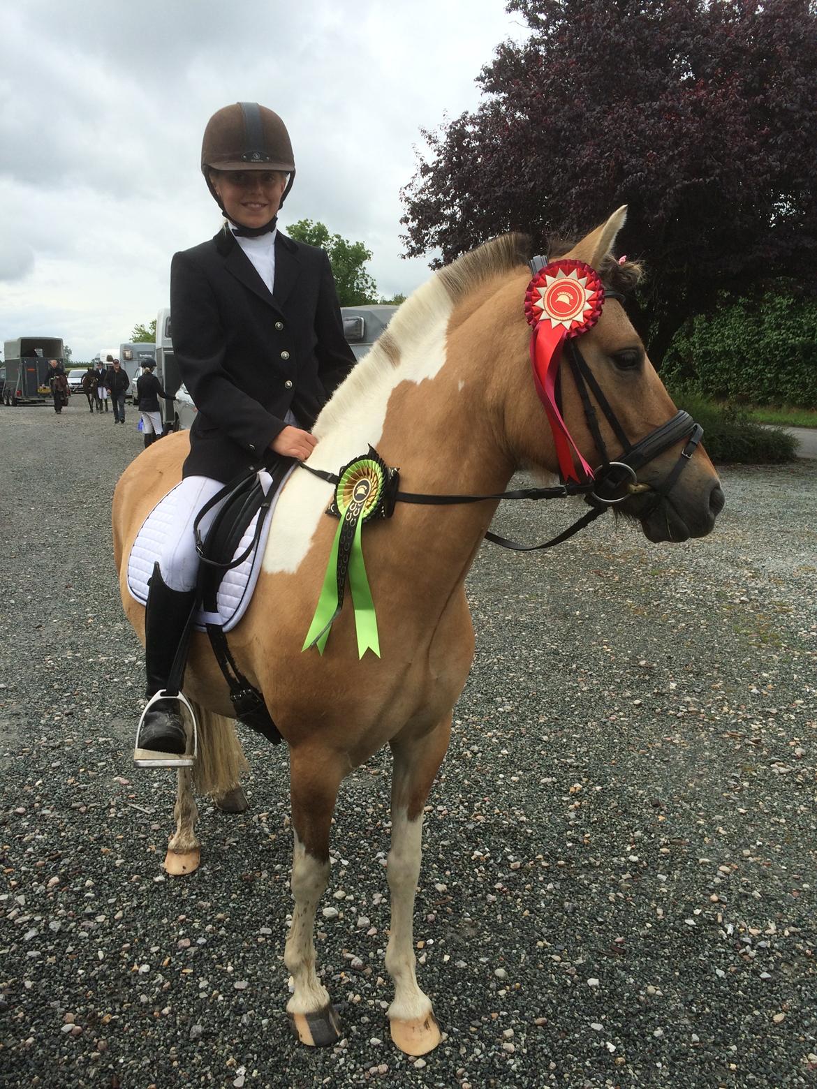 Anden særlig race Kronborggårdens Condolezza<3 - Til stævne<3 2 førstepladser:-) billede 1