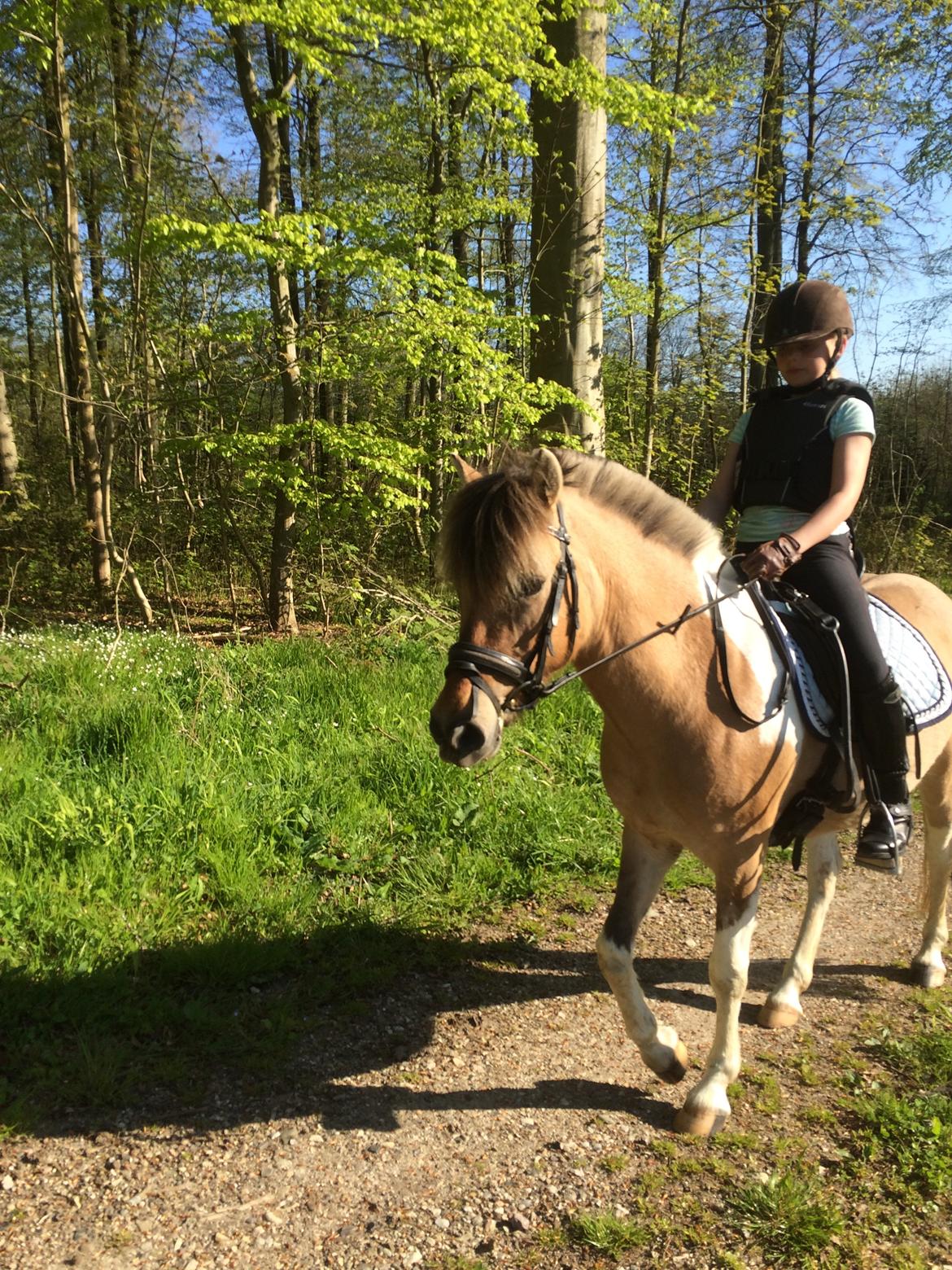 Anden særlig race Kronborggårdens Condolezza<3 - Vores første tur<3 billede 8