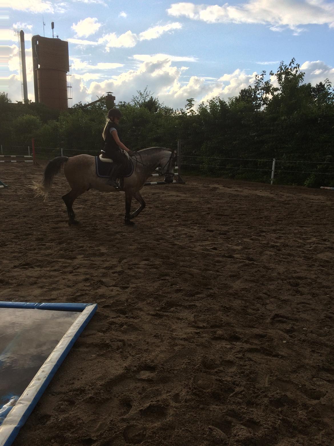 Anden særlig race Smartie<3 billede 17