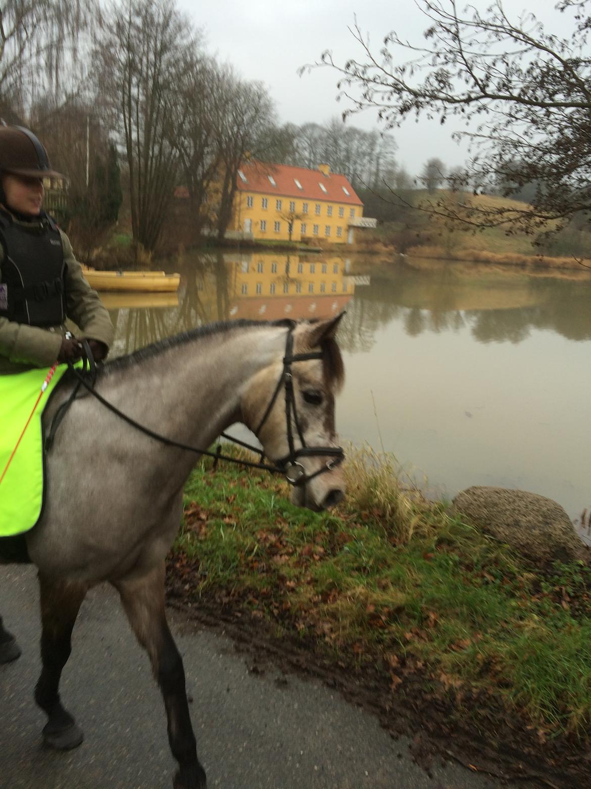 Anden særlig race Smartie<3 billede 14