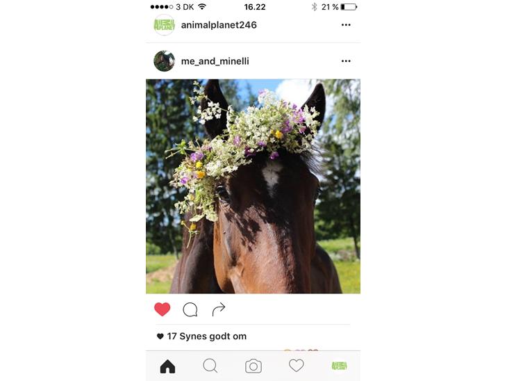 {{currentPhoto.altText}} billede {{currentPhoto.number}}