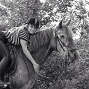 Anden særlig race Anden særlig race Antares PRE/Traver (Tidl. part) 