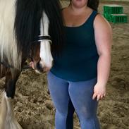 Irish Cob Isolde