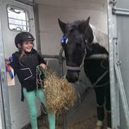 Anden særlig race Indiana Jones (Indy)