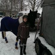 Anden særlig race Indiana Jones (Indy)