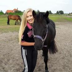 Knabstrupper Playboy<3