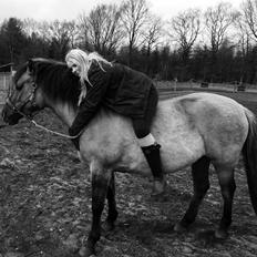 Anden særlig race Carla (Solgt)