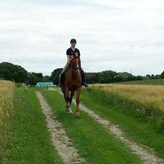 Frederiksborg Mercur Lindegård