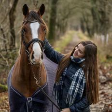 Tysk Sportspony Colorline 2