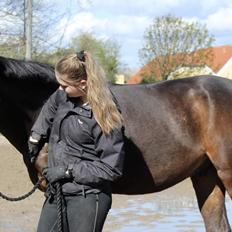 Anden særlig race Holmegaards Dicarpac