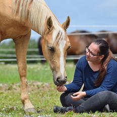 Palomino Kvolsbæk's Exclusive Enya