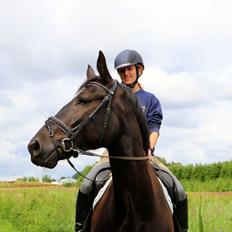 Anden særlig race Fonda