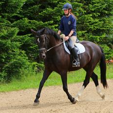 Anden særlig race Fonda