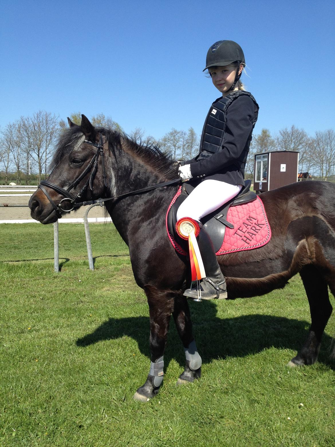 Anden særlig race Flicka - Stilstafetspring 2014 billede 8