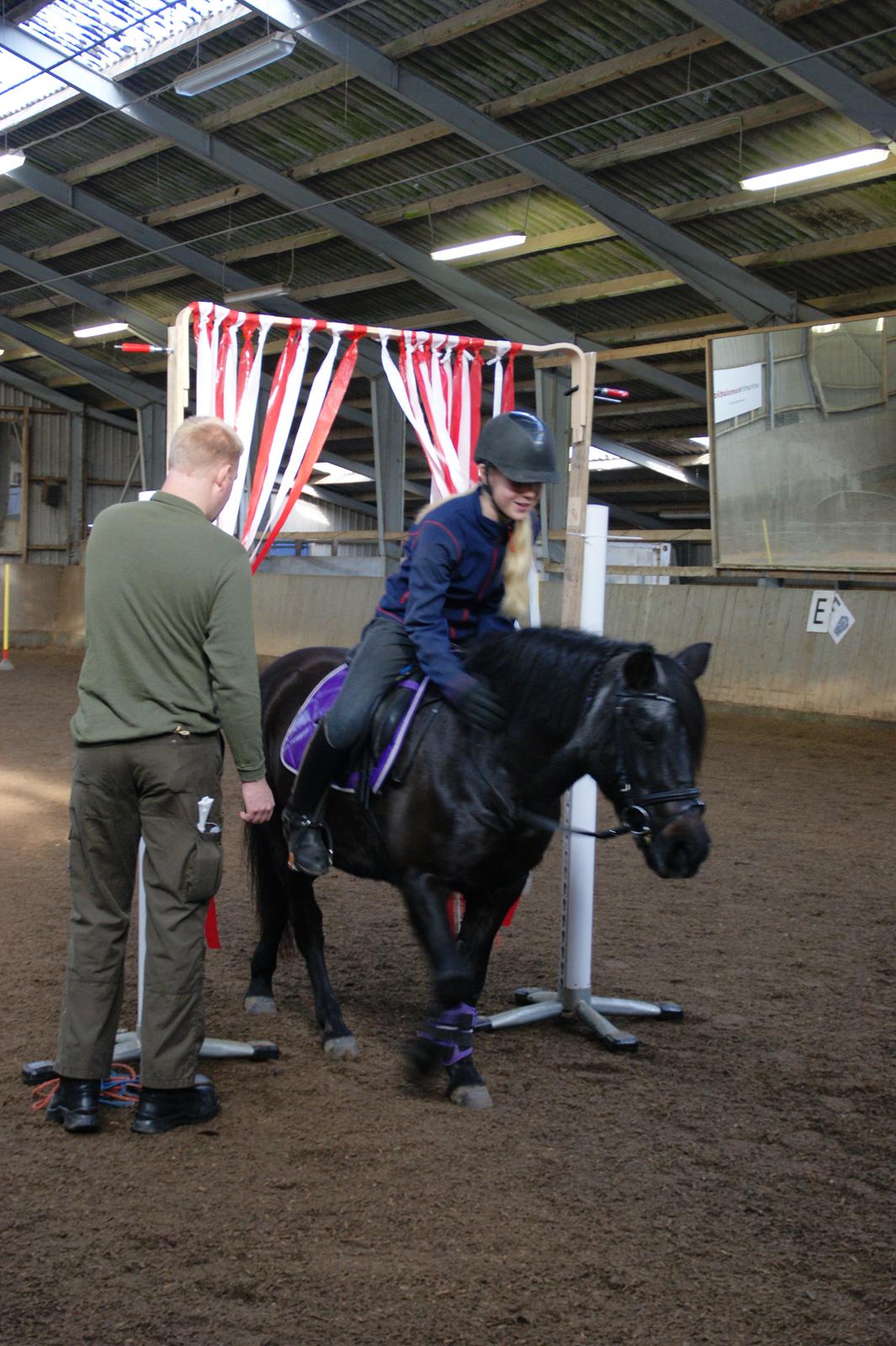 Anden særlig race Flicka billede 4