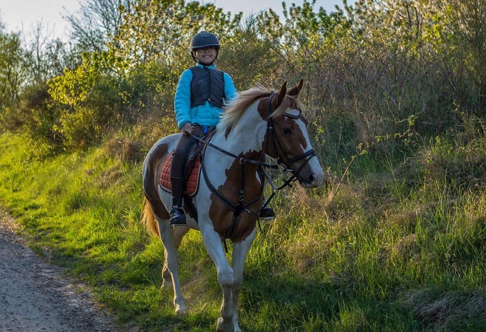 Pinto Mcquine billede 6