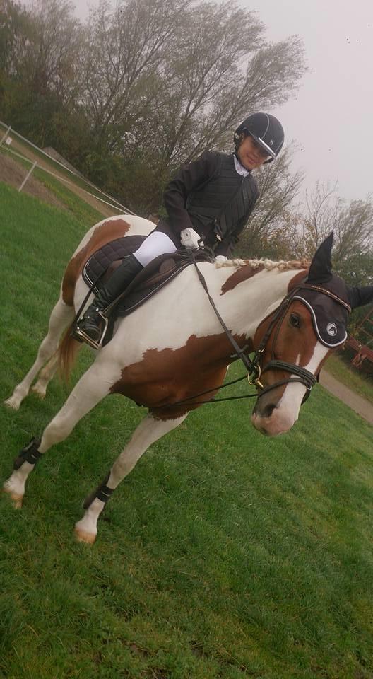 Pinto Mcquine billede 9