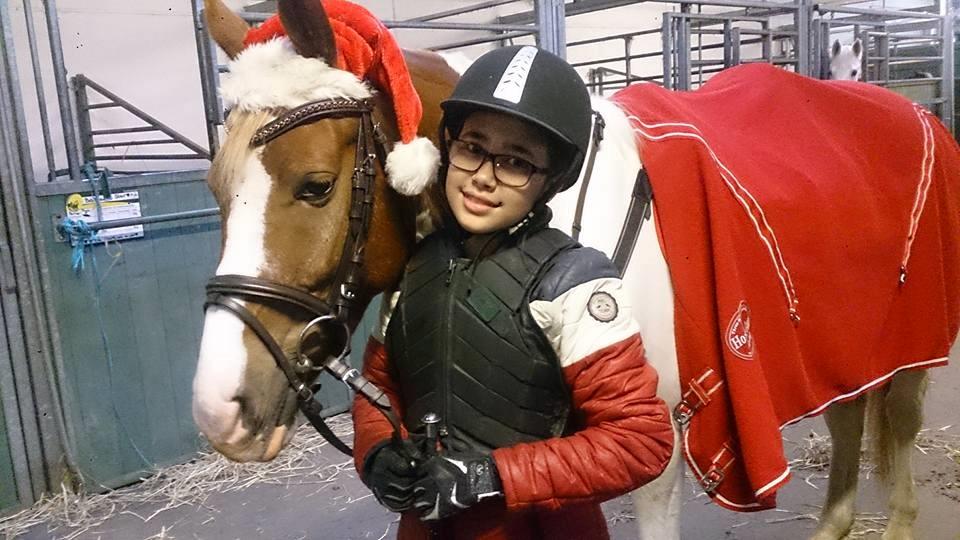 Pinto Mcquine billede 11