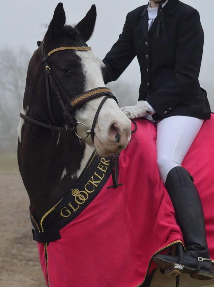 Pinto fighter billede 3