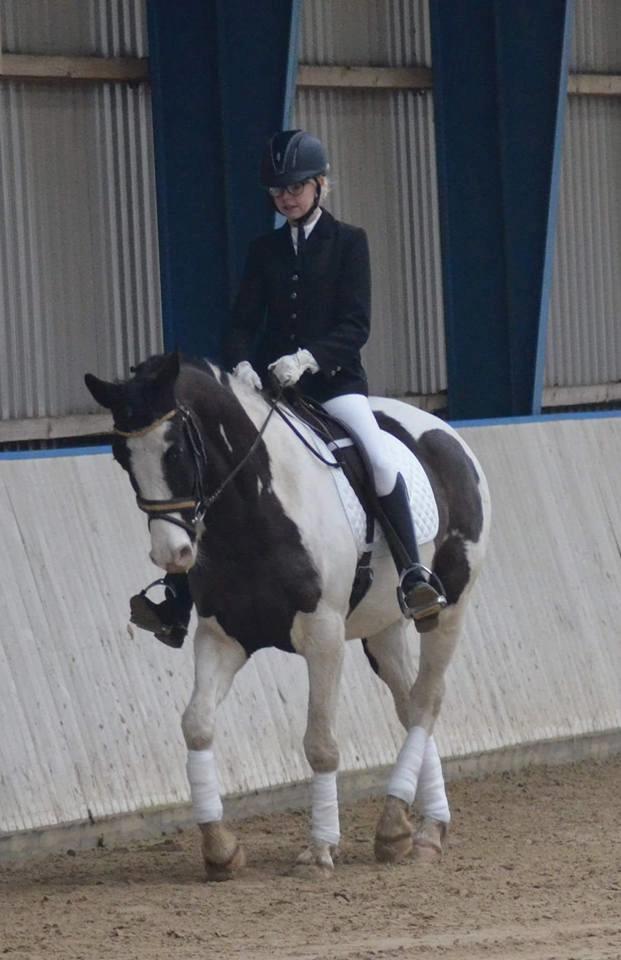 Pinto fighter billede 7