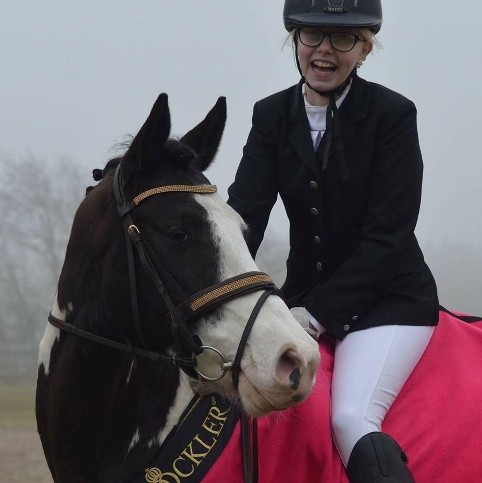 Pinto fighter billede 8