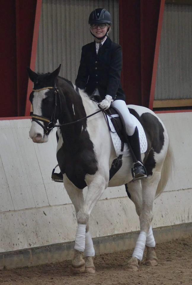 Pinto fighter billede 12