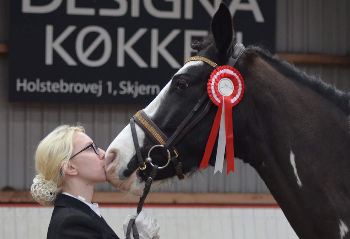 Pinto fighter billede 13