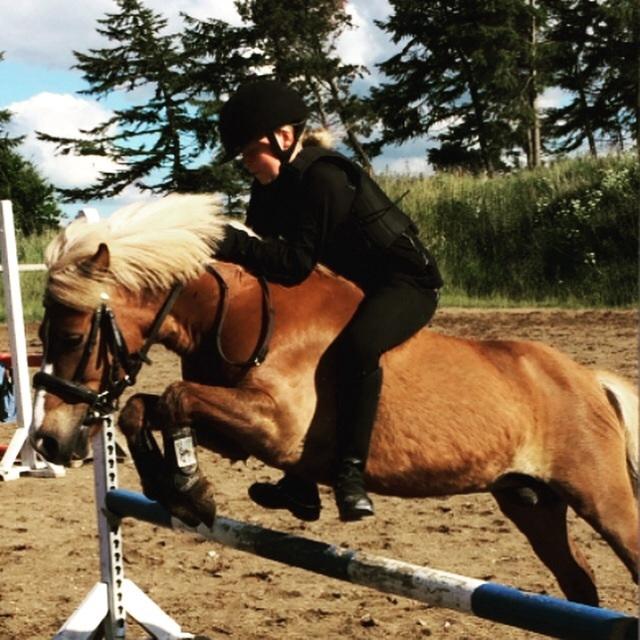 Anden særlig race Diesel billede 19