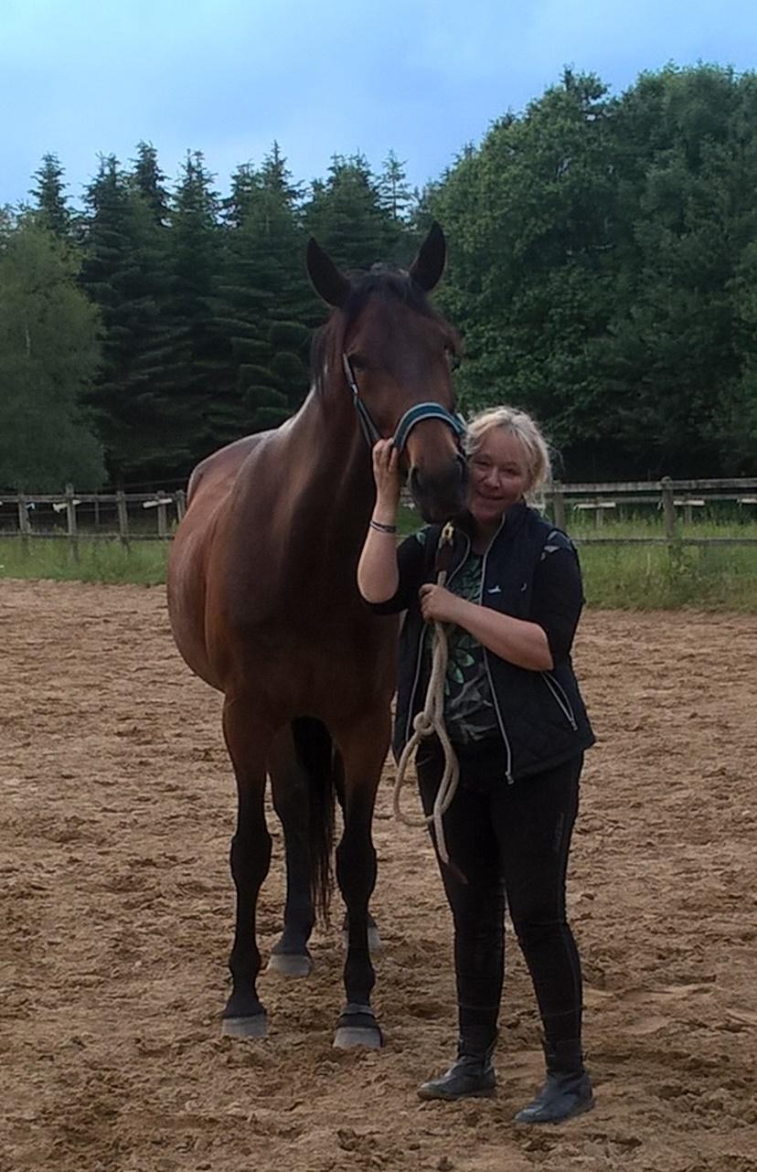 Traver Oasis Simoni billede 7