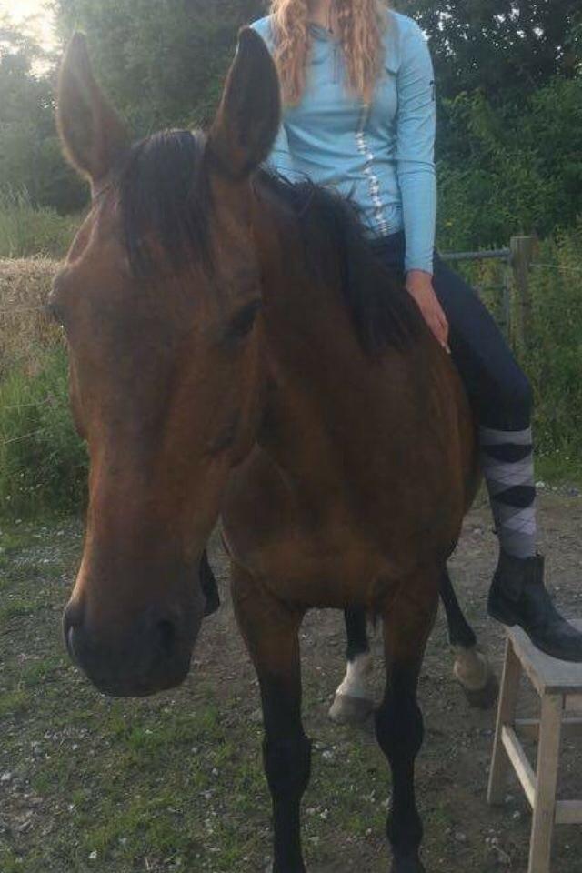 Anden særlig race Cypresgårdens Celina billede 4