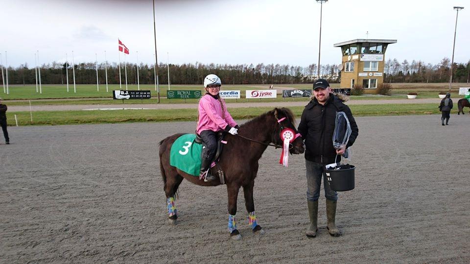 Anden særlig race Søndervangs Zita billede 2