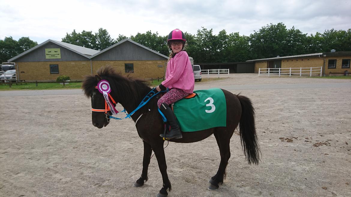 Anden særlig race Søndervangs Zita billede 4