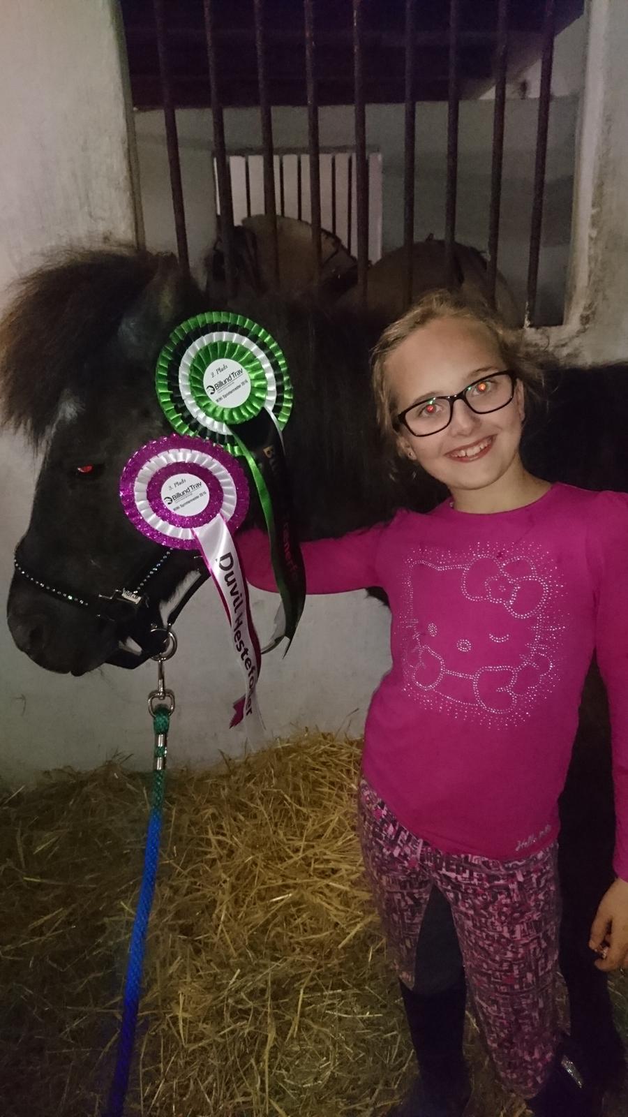 Anden særlig race Søndervangs Zita billede 5