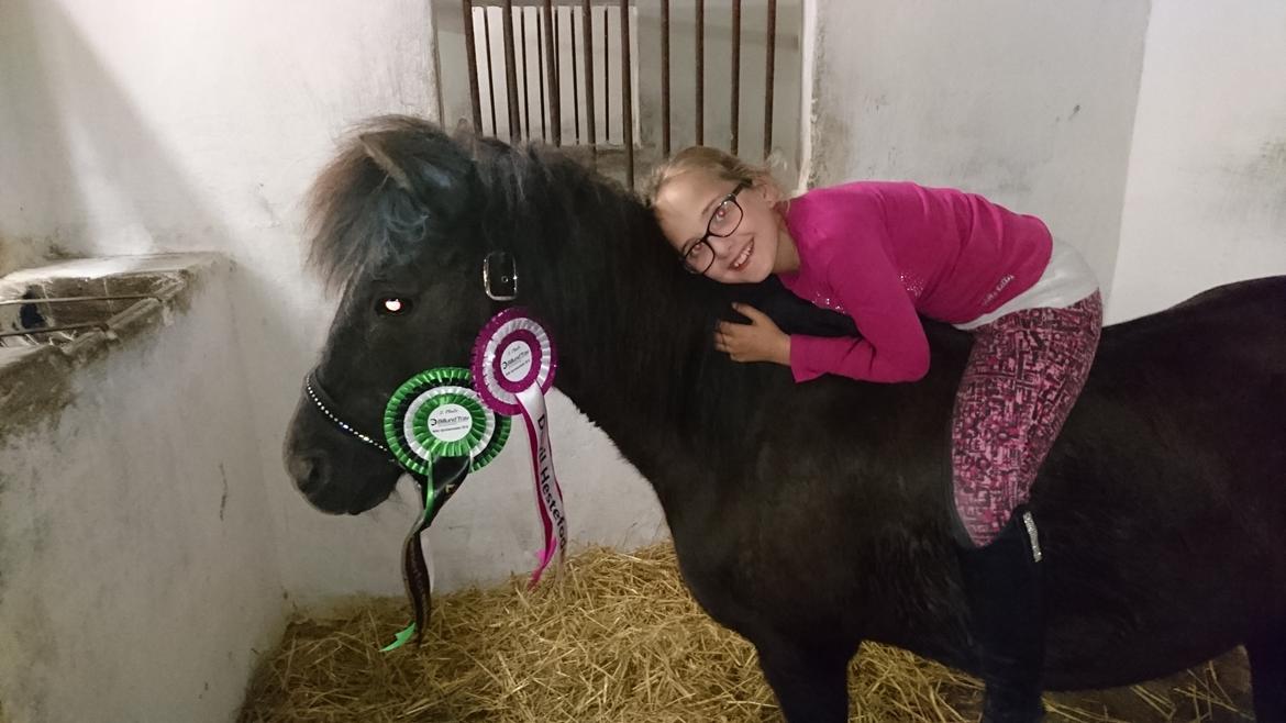 Anden særlig race Søndervangs Zita billede 6