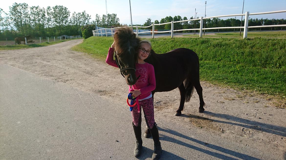 Anden særlig race Søndervangs Zita billede 7